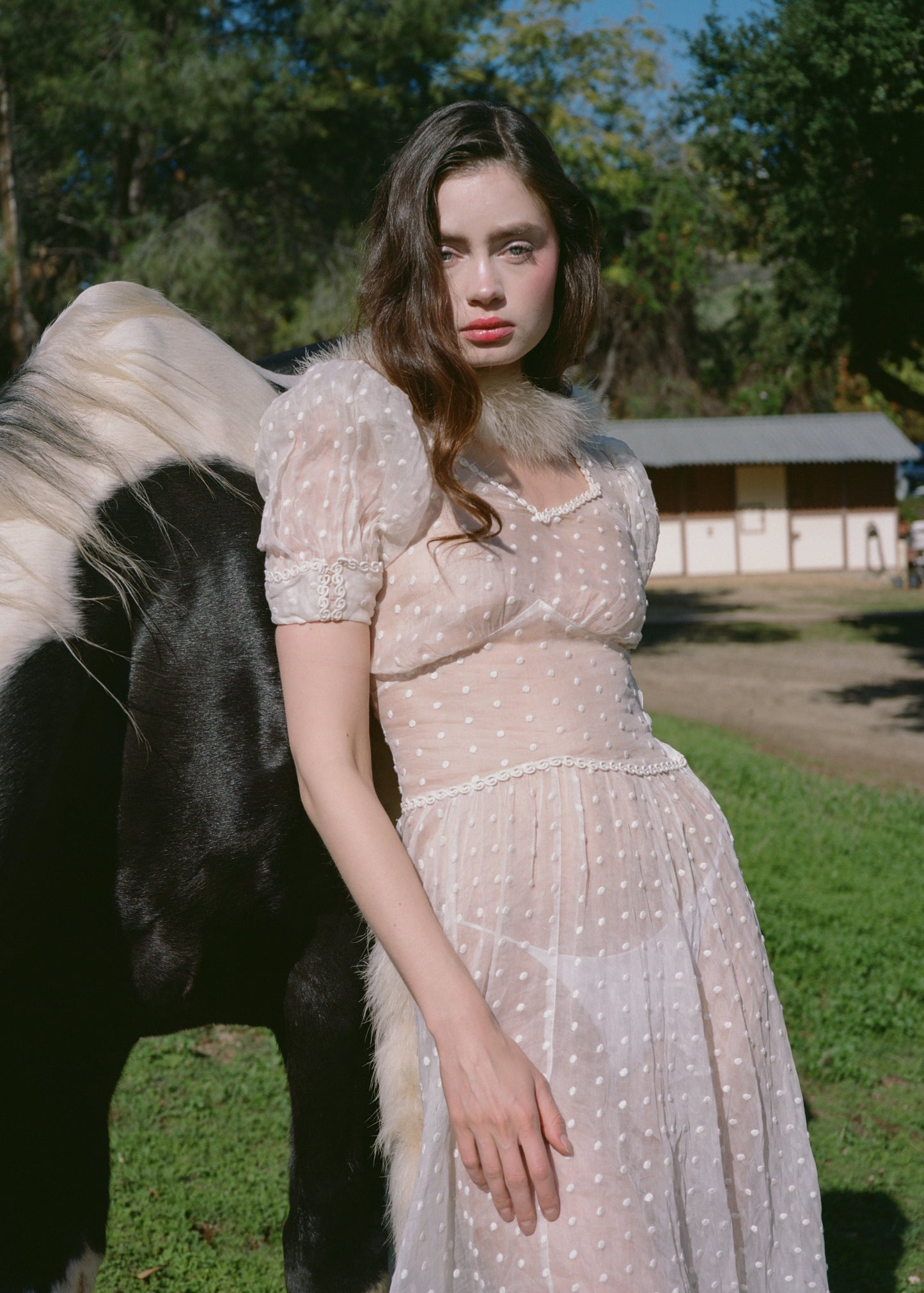 Woman in a white dress standing next to a horse in an outdoor setting