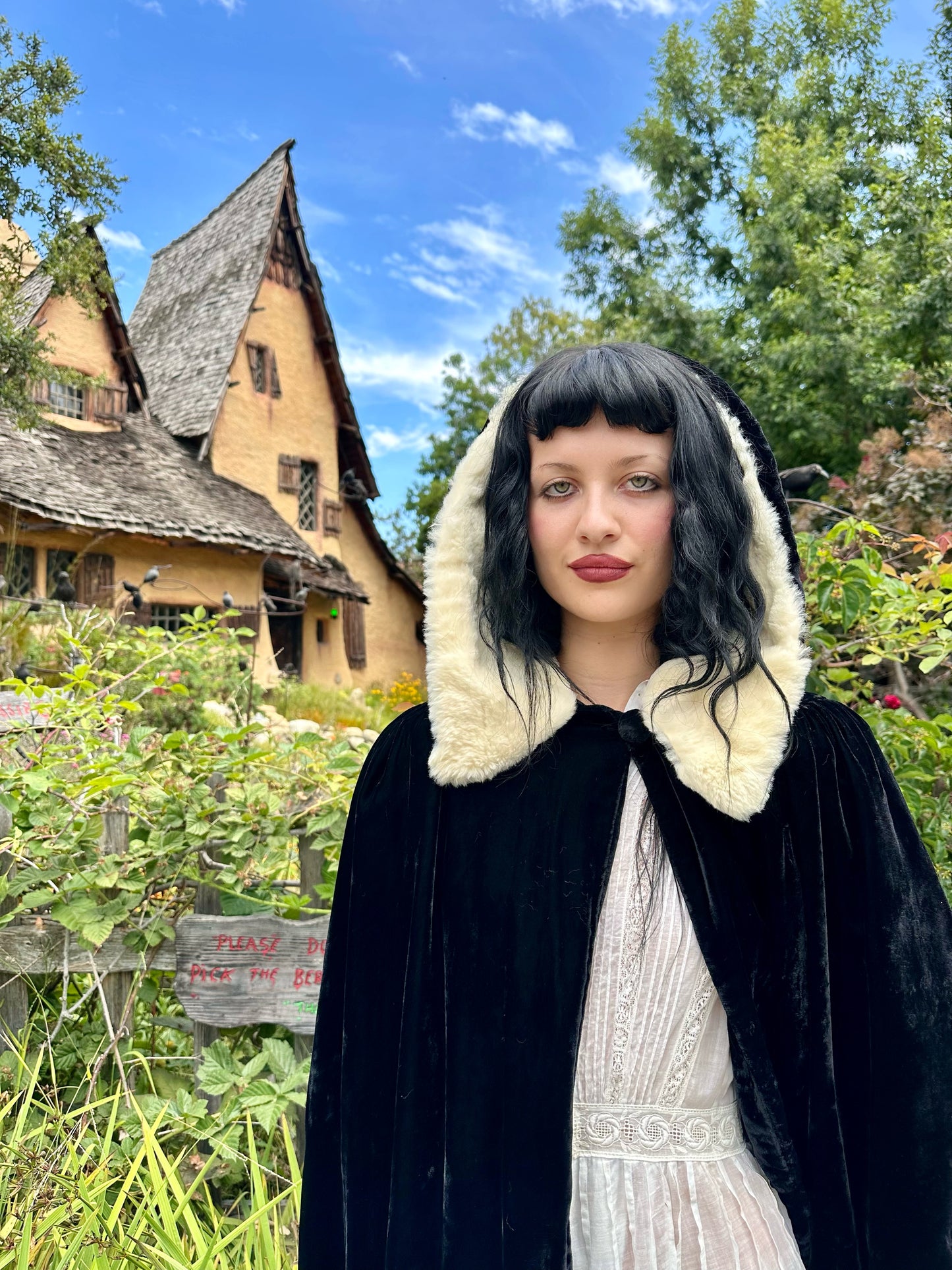 Mystical Antique 1940's Black Silk Velvet Opera Cape