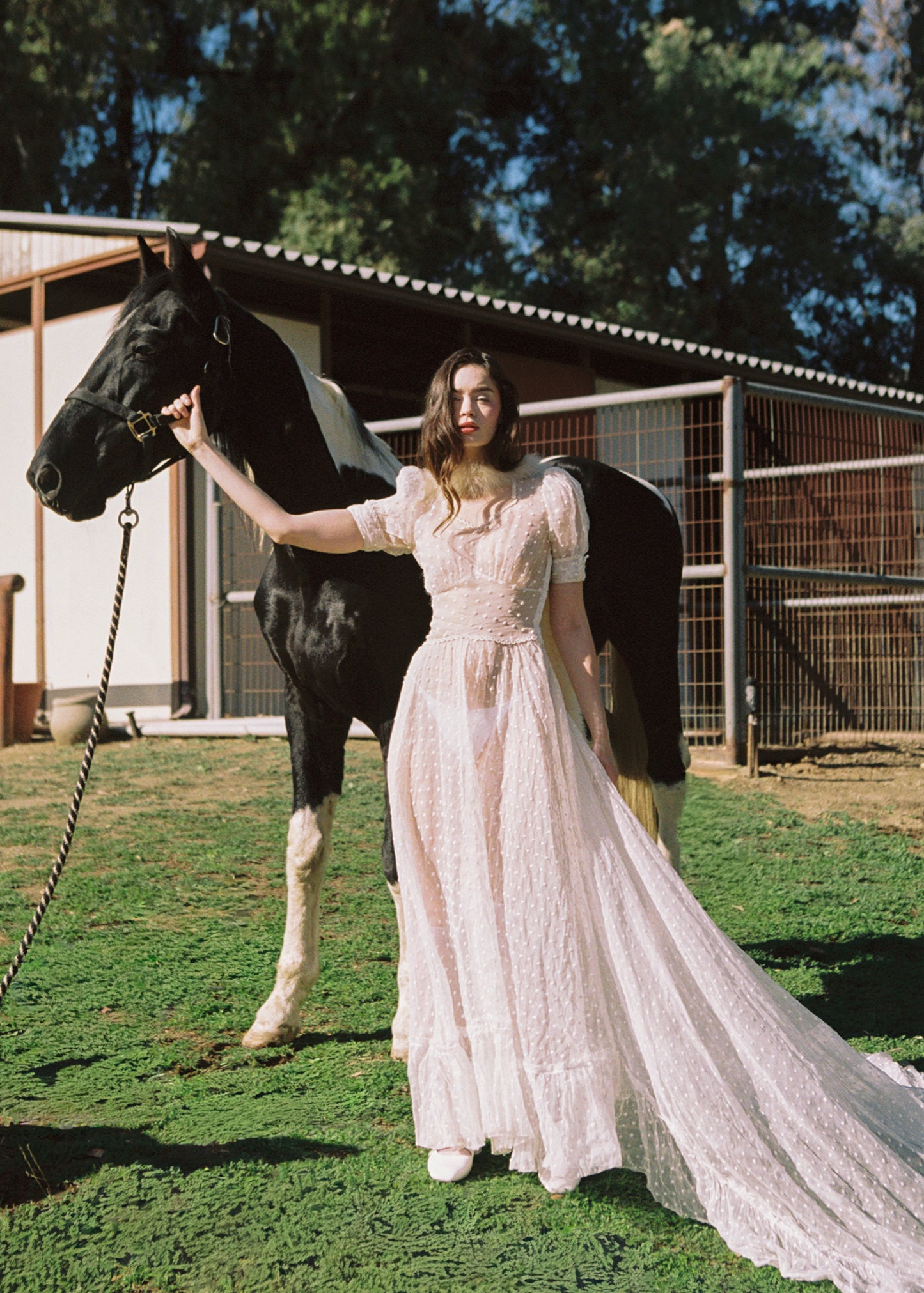 Woman in a white dress standing next to a horse in an outdoor setting