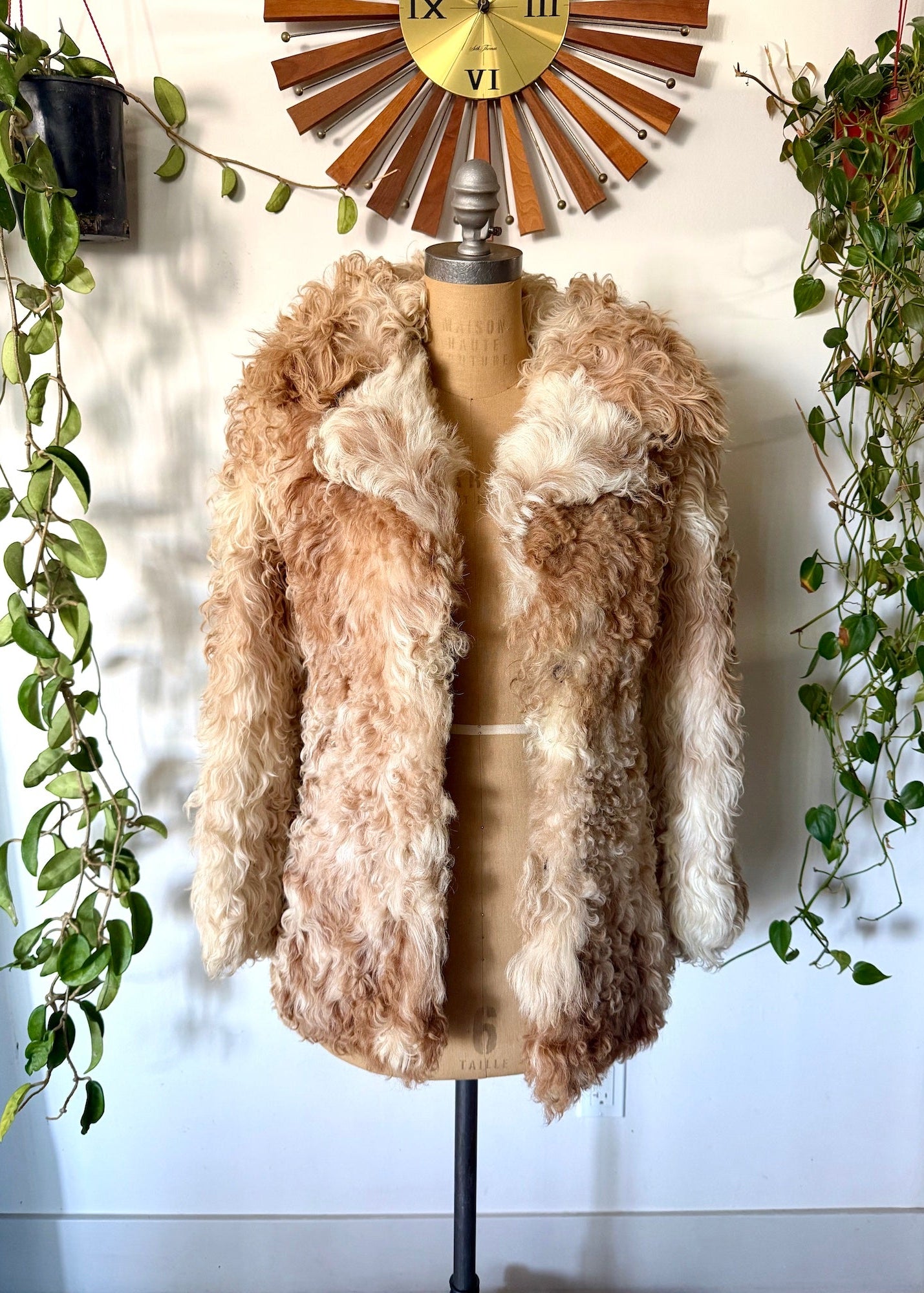 1970's Mongolian curly fur coat in Beige and brown on a mannequin with a neutral background
